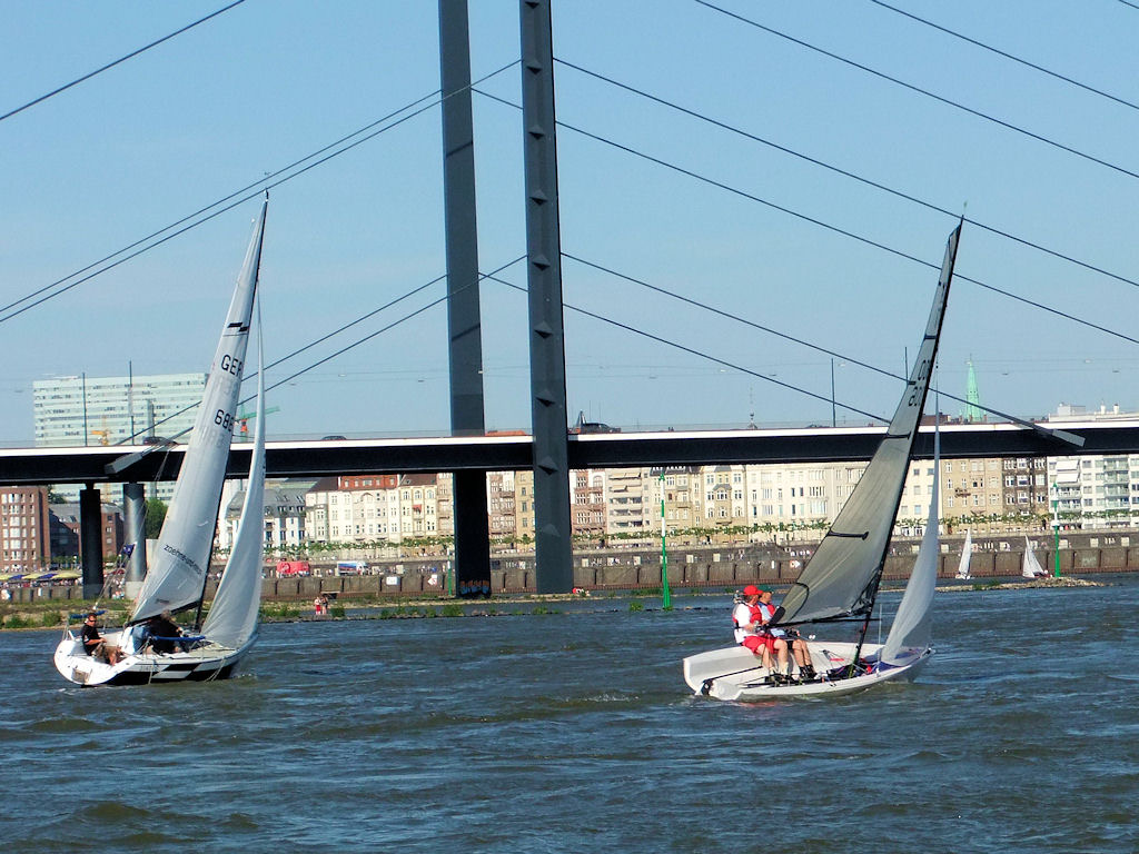 Segelboote auf dem Rhein bei der Rheinwoche